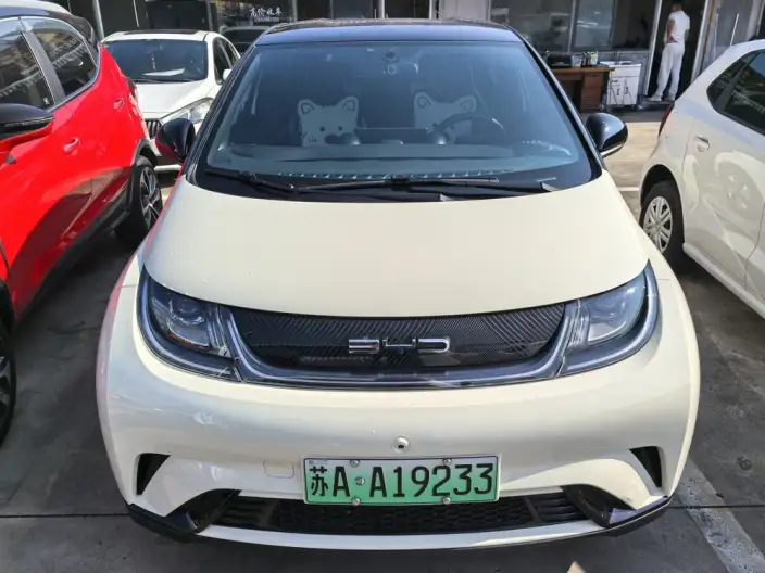 BYD Dolphin 2023 Model Free Edition