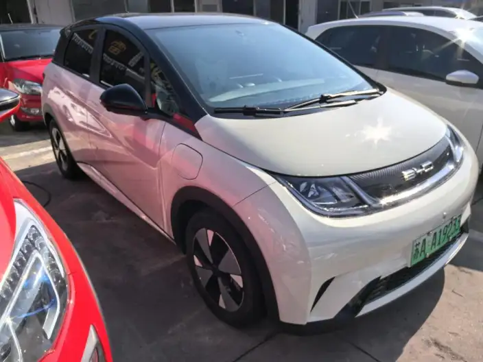BYD Dolphin 2023 Model Free Edition
