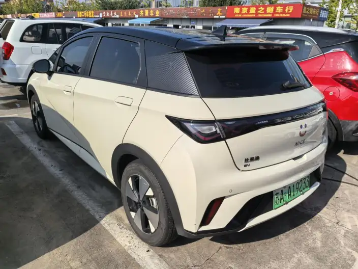 BYD Dolphin 2023 Model Free Edition
