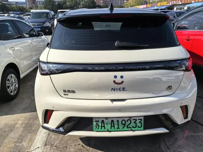 BYD Dolphin 2023 Model Free Edition – фото 5