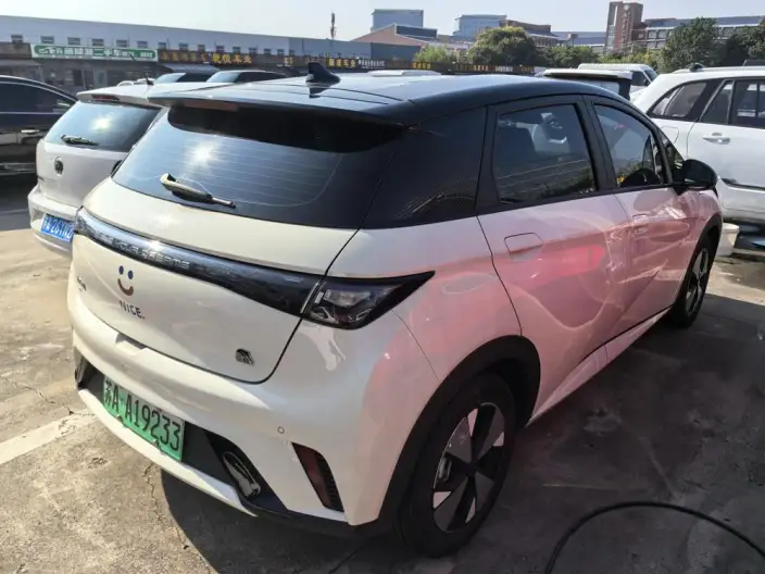 BYD Dolphin 2023 Model Free Edition – фото 6