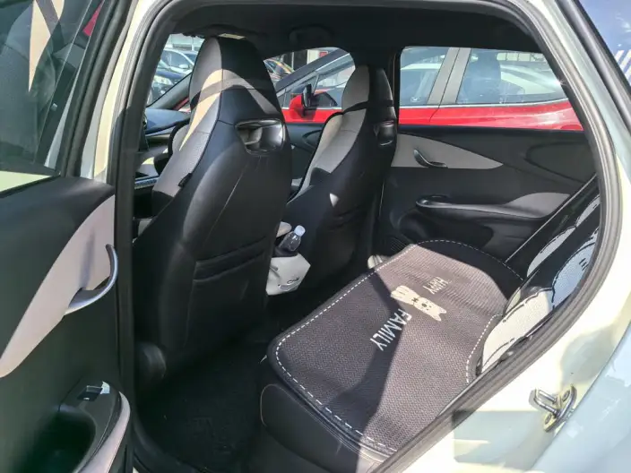 BYD Dolphin 2023 Model Free Edition – фото 9