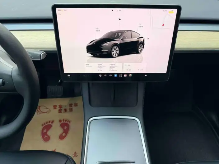 Model Y 2022 Model Facelift Rear-wheel drive version – фото 6