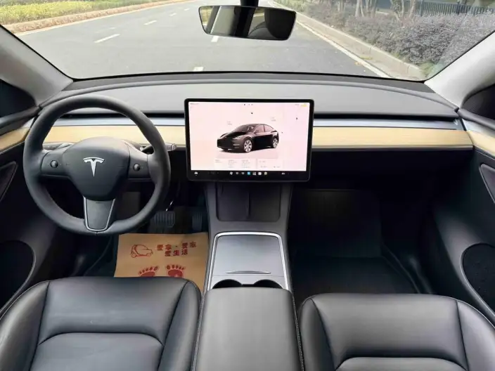 Model Y 2022 Model Facelift Rear-wheel drive version – фото 8