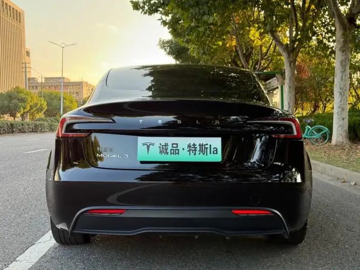 Model 3 2023 Model Rear-wheel drive version – фото 6