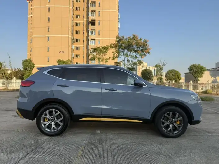 Haval H6 2021 Model Guo Trendy Edition 1.5T Automatic Champion Edition – фото 7