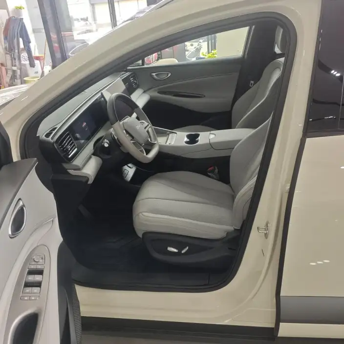Sea Lion 06DM 2025 Model DM-i 205KM Pilot Pro Edition – фото 8