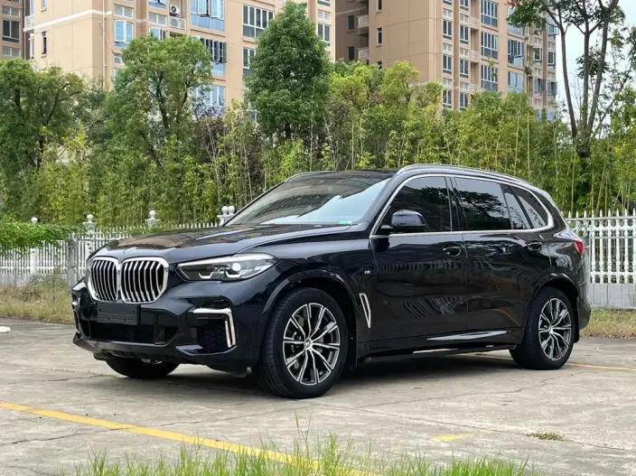 BMW X5 2022 Model xDrive 30Li Exclusive Model M Sports Set – фото 1