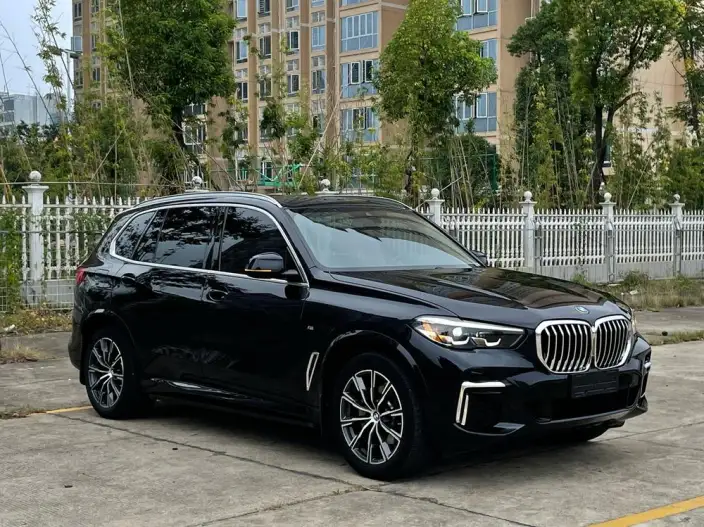 BMW X5 2022 Model xDrive 30Li Exclusive Model M Sports Set – фото 3