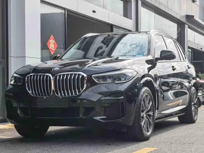 BMW X5 2022 Model xDrive 30Li Exclusive Model M Sports Set – фото 1