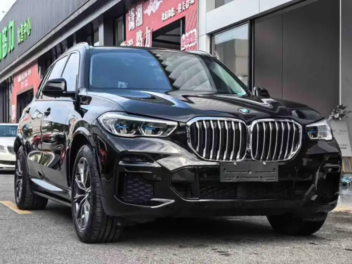 BMW X5 2022 Model xDrive 30Li Exclusive Model M Sports Set – фото 3