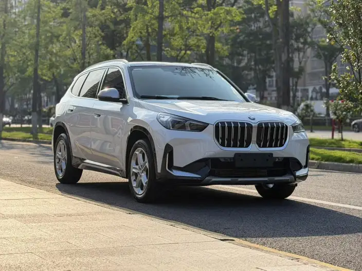 BMW X1 2023 Model sDrive20Li X Design Set – фото 3