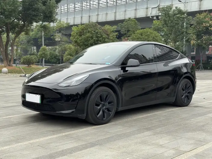 Model Y 2023 Model Rear-wheel drive version – фото 1