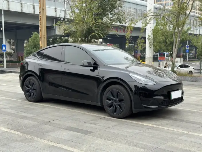 Model Y 2023 Model Rear-wheel drive version – фото 3