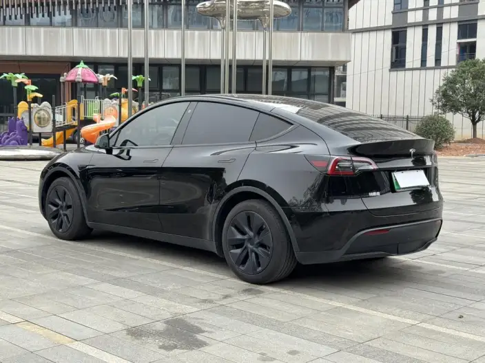 Model Y 2023 Model Rear-wheel drive version – фото 4