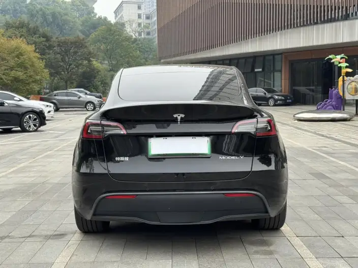 Model Y 2023 Model Rear-wheel drive version – фото 5
