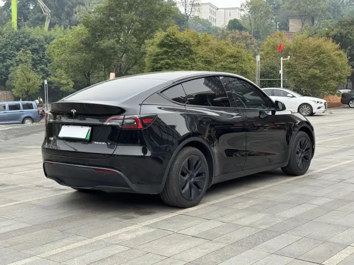 Model Y 2023 Model Rear-wheel drive version – фото 6