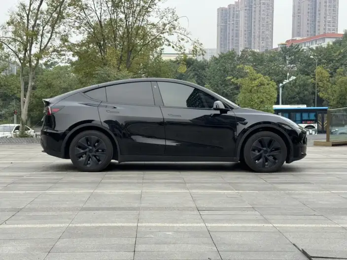 Model Y 2023 Model Rear-wheel drive version – фото 7