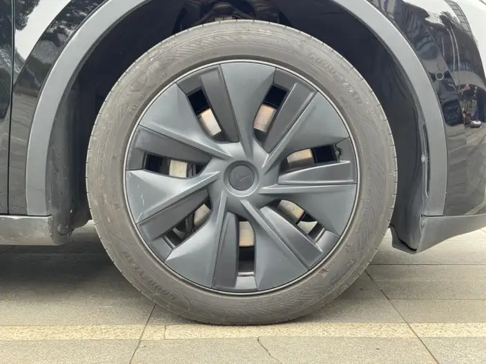 Model Y 2023 Model Rear-wheel drive version – фото 8