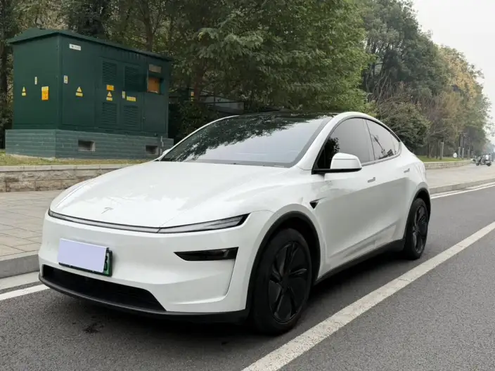 Model Y 2025 Model Rear-wheel drive version – фото 1