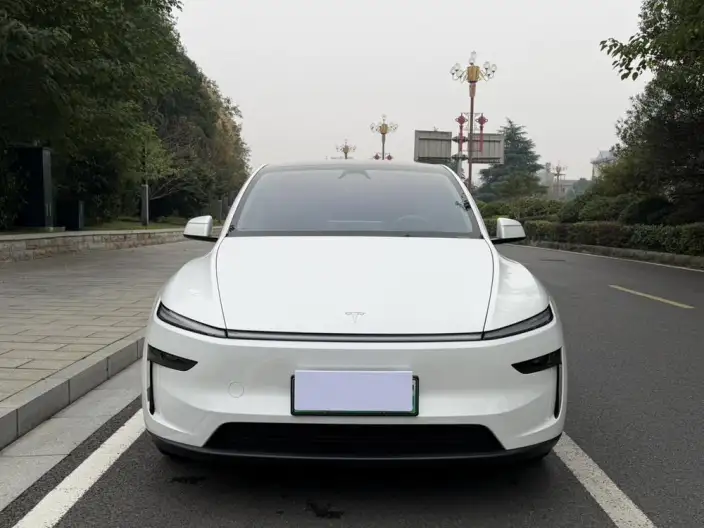 Model Y 2025 Model Rear-wheel drive version – фото 2