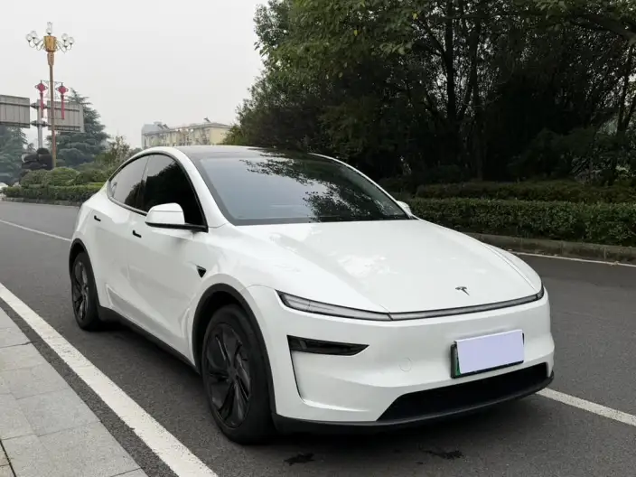 Model Y 2025 Model Rear-wheel drive version – фото 3