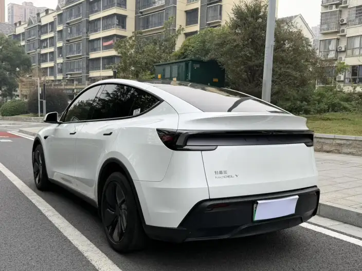 Model Y 2025 Model Rear-wheel drive version – фото 4