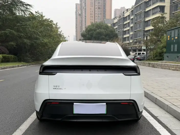 Model Y 2025 Model Rear-wheel drive version – фото 5