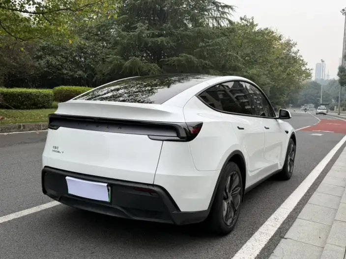 Model Y 2025 Model Rear-wheel drive version – фото 6