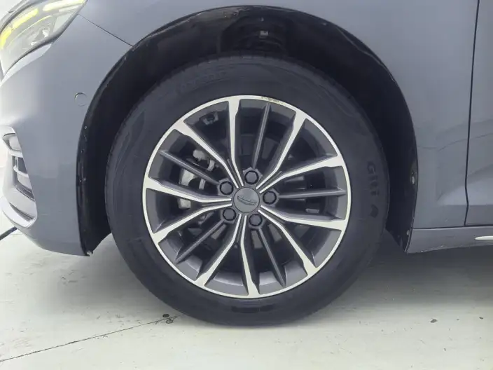 Geely StarRui 2020 Model 2.0T Luxury Model – фото 9