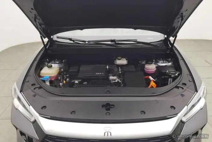 BYD Song Pro DM 2023 Model DM-i Champion Edition 71km Pilot Model – фото 5