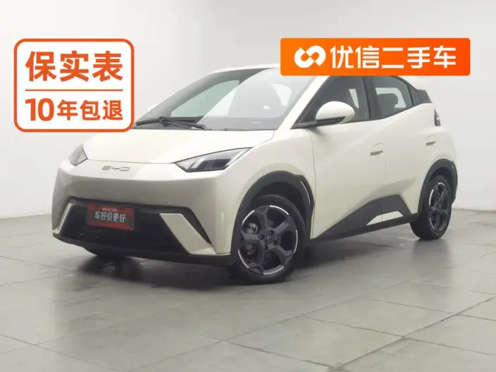 BYD Seagull 2023 Model Free Edition