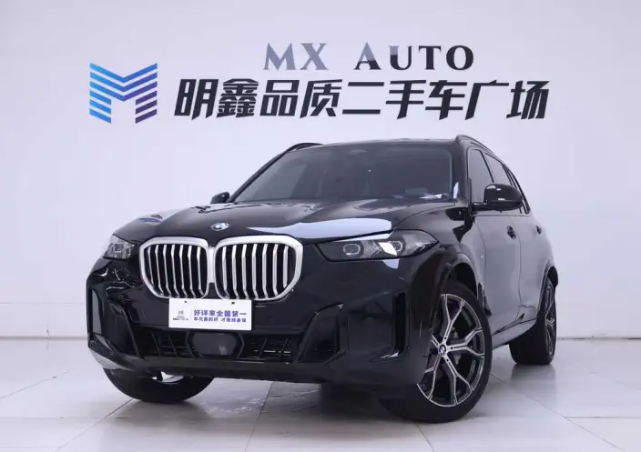 BMW X5 2023 Model xDrive30Li Exclusive Model M Sports Night Set – фото 1