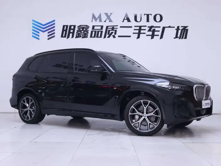 BMW X5 2023 Model xDrive30Li Exclusive Model M Sports Night Set – фото 2