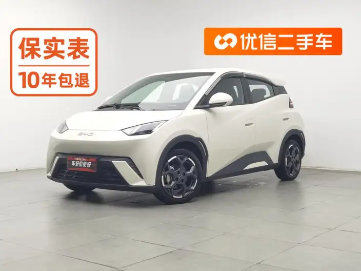BYD Seagull 2025 Model 405KM Feixiang Edition