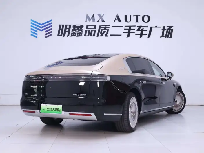 Zunjie S800 2025 Model Extended Range Starlight Executive Edition 4 seat – фото 4