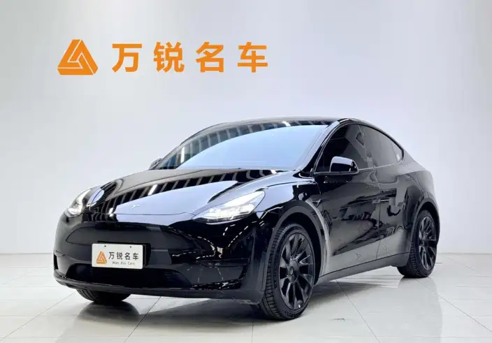 Model Y 2023 Model Rear-wheel drive version – фото 1