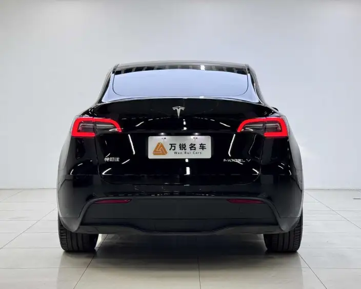 Model Y 2023 Model Rear-wheel drive version – фото 3