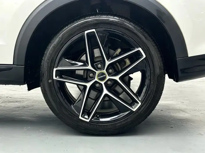 Roewe RX5 2021 Model PLUS 330TGI Automatic Guo Trendy Smart Edition – фото 9