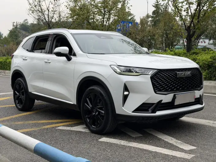 Haval H6 2021 Model Third generation 2.0T Automatic 2WD Max Edition