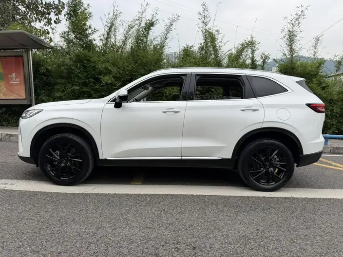 Haval H6 2021 Model Third generation 2.0T Automatic 2WD Max Edition