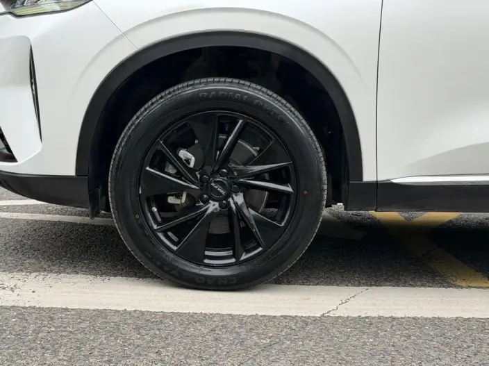 Haval H6 2021 Model Third generation 2.0T Automatic 2WD Max Edition – фото 10