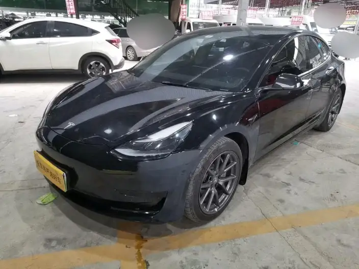 Model 3 2022 Model Rear-wheel drive version – фото 1
