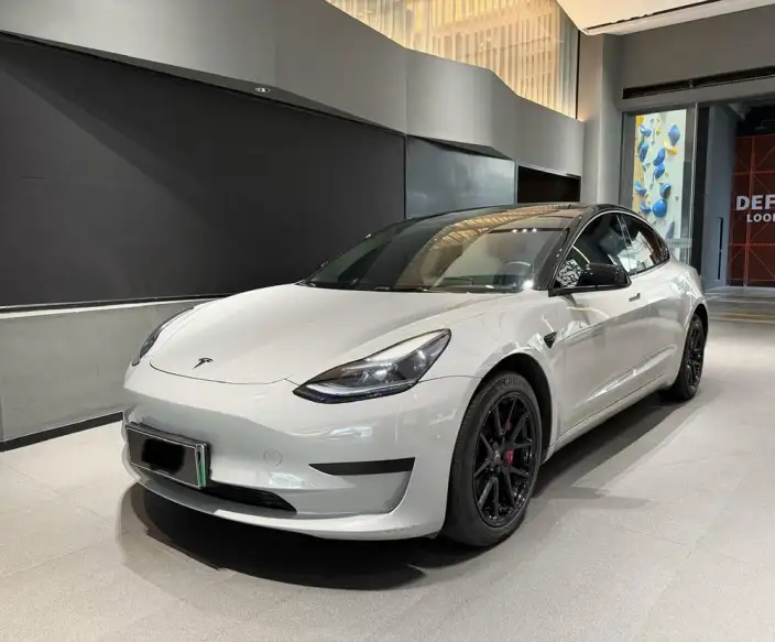 Model 3 2022 Model Rear-wheel drive version – фото 1