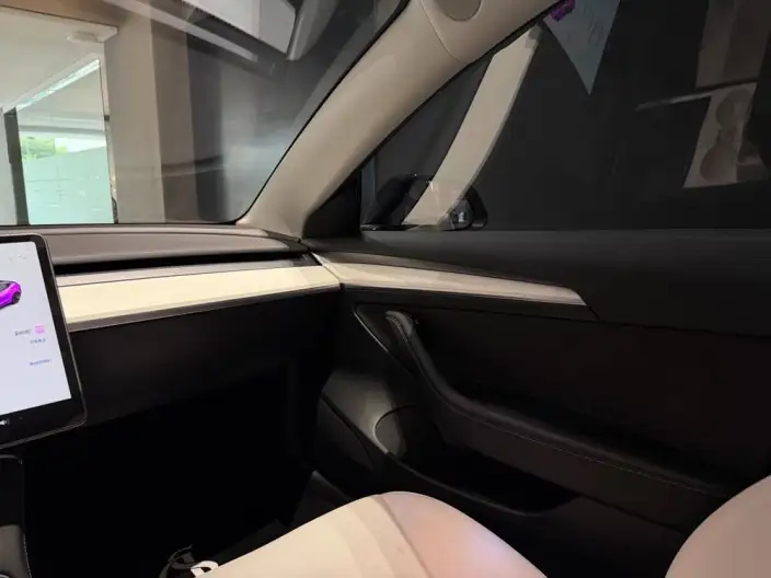 Model 3 2022 Model Rear-wheel drive version – фото 6