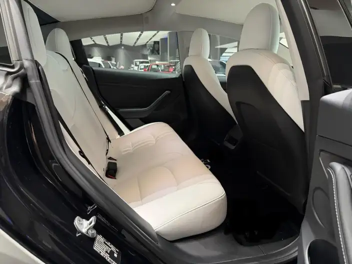 Model 3 2022 Model Rear-wheel drive version – фото 8