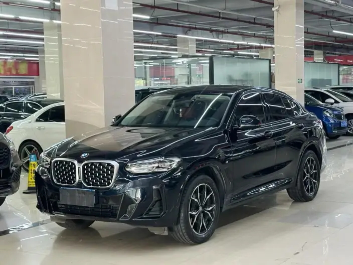 BMW X4 2022 Model xDrive 25i M Sports Set – фото 1
