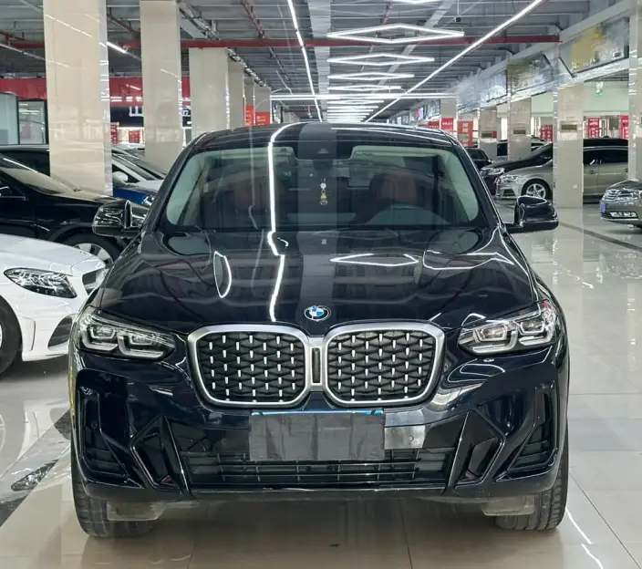 BMW X4 2022 Model xDrive 25i M Sports Set – фото 2