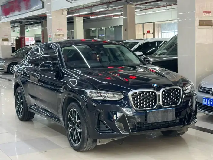 BMW X4 2022 Model xDrive 25i M Sports Set – фото 3