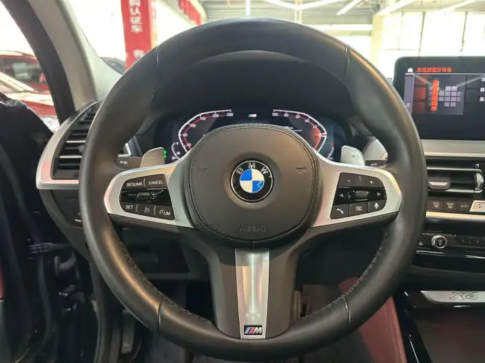 BMW X4 2022 Model xDrive 25i M Sports Set – фото 8